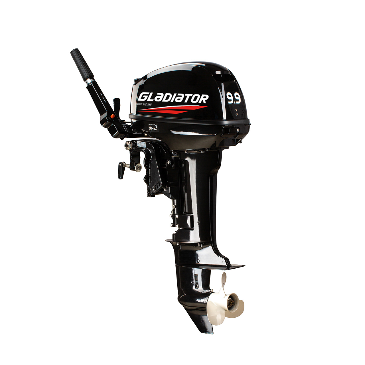 ЛОДОЧНЫЙ МОТОР GLADIATOR G9.9FHS в Хасавюрте