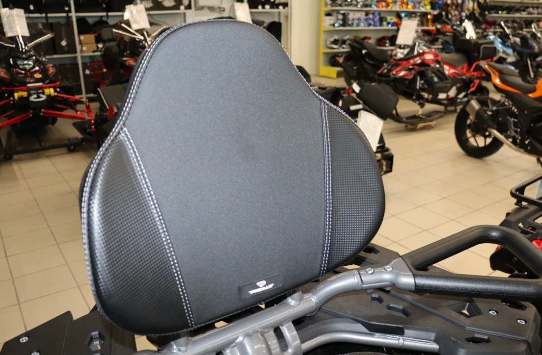 Квадроцикл PROMAX RENEGADE 300 LONG WINCH PRO (2025) в Хасавюрте