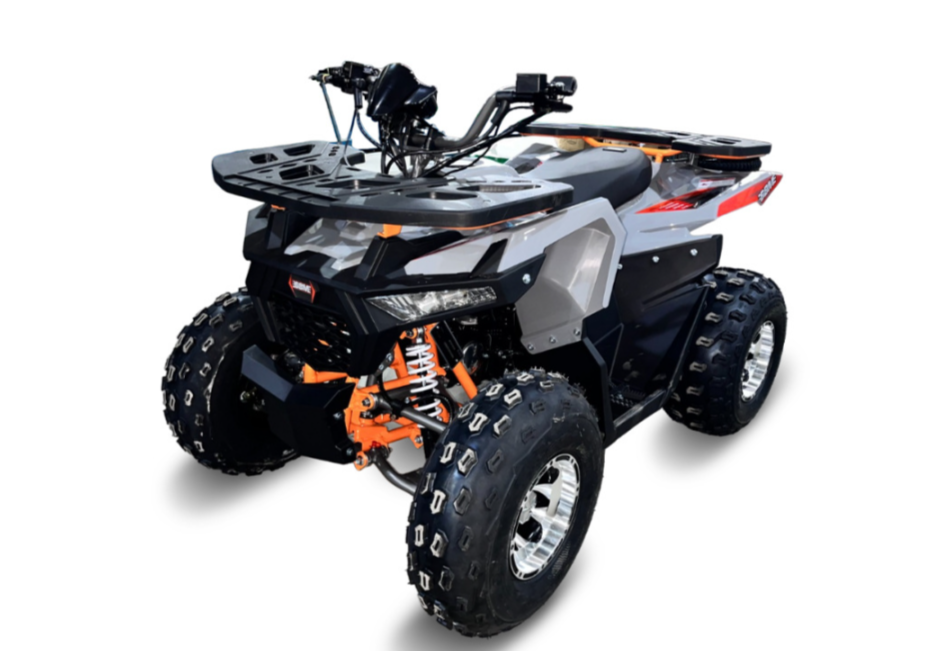 Квадроцикл GBM DAXTER 220 NEW PREMIUM в Хасавюрте