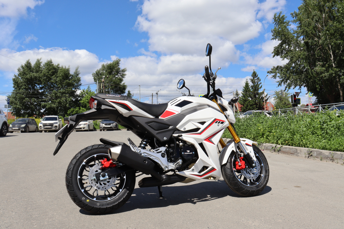 Мотоцикл PROMAX STRYKER 200(49) 2.0 в Хасавюрте