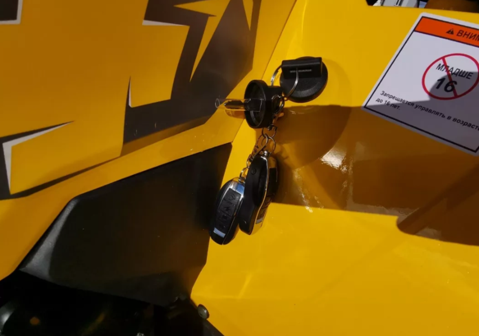 Квадроцикл MOTOLAND (МОТОЛЕНД) VOX200 WILD TRACK X PRO (баланс. вал) в Хасавюрте