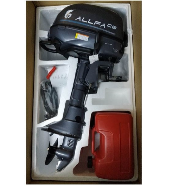 Лодочный мотор ALLFA CG F6 в Хасавюрте