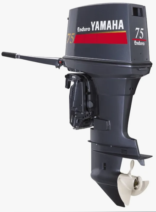 Лодочный мотор YAMAHA E75BMHDL в Хасавюрте