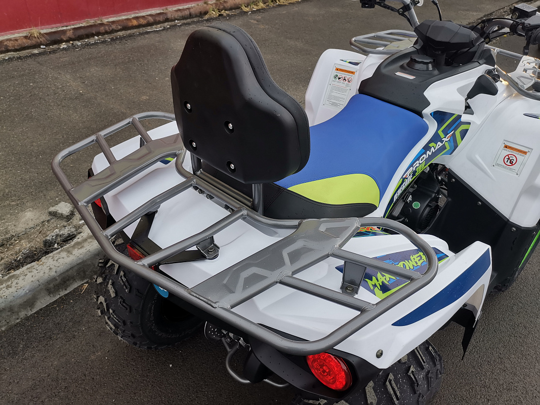 Квадроцикл PROMAX RENEGADE 280 LUX (2025) в Хасавюрте