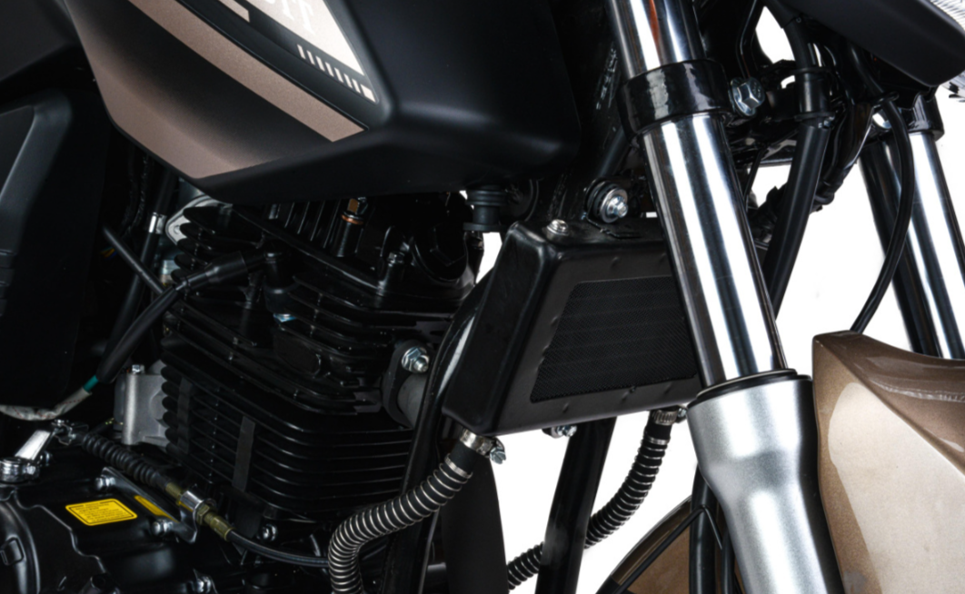 Мотоцикл MOTOLAND (МОТОЛЕНД) 300 BANDIT в Хасавюрте