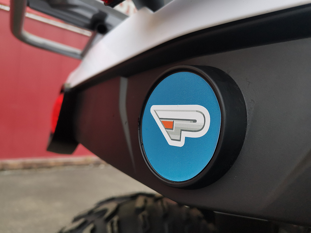 Квадроцикл PROMAX RENEGADE 280 LUX (2025) в Хасавюрте