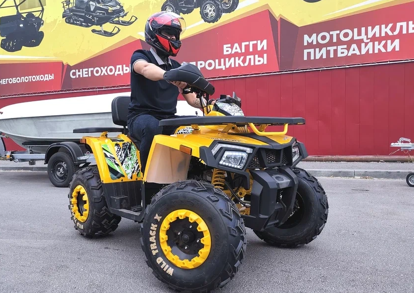 Квадроцикл PROMAX STORM 280 LUX в Хасавюрте