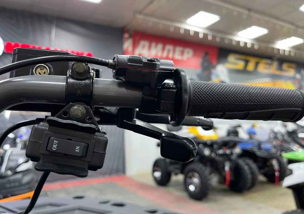 Квадроцикл PROMAX RENEGADE 300 LONG WINCH PRO (2025) в Хасавюрте