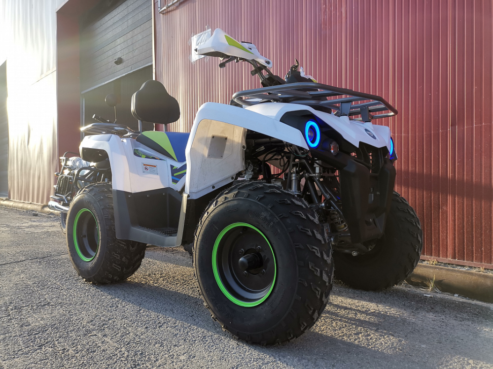 Квадроцикл PROMAX RENEGADE 280 LUX (2025) в Хасавюрте
