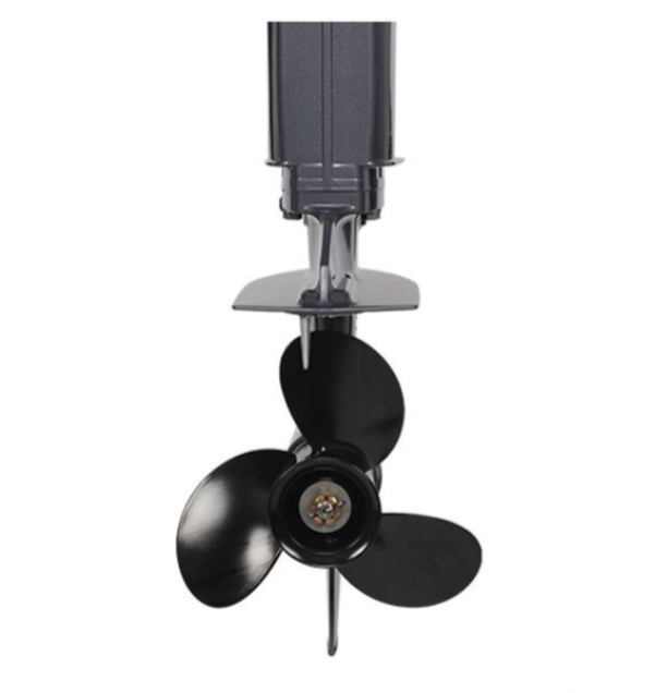 Лодочный мотор ALLFA CG Т40FW S в Хасавюрте