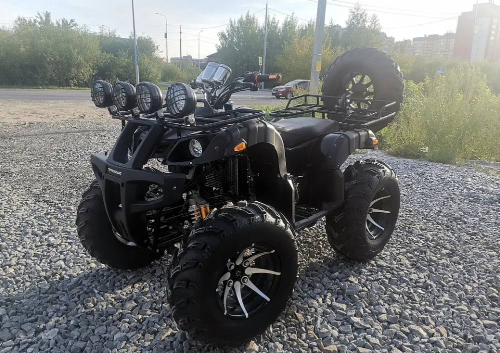 Квадроцикл PROMAX LEO 300 Max (кардан) в Хасавюрте