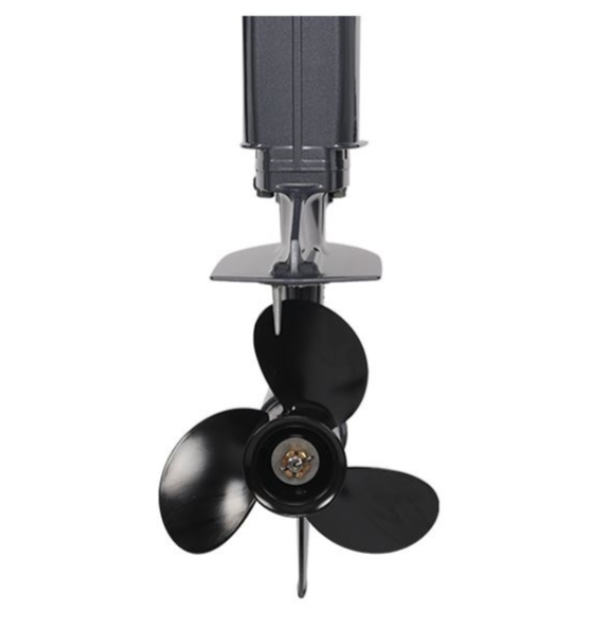 Лодочный мотор ALLFA CG Т40FWT S в Хасавюрте