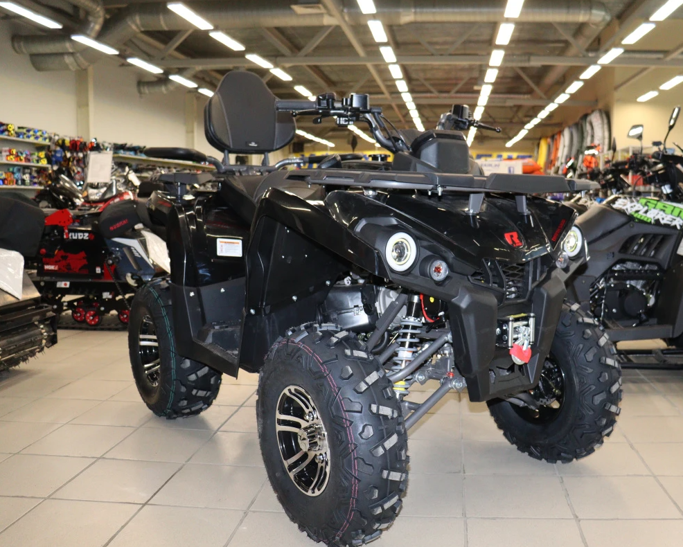 Квадроцикл PROMAX RENEGADE 300 LONG WINCH PRO (2025) в Хасавюрте