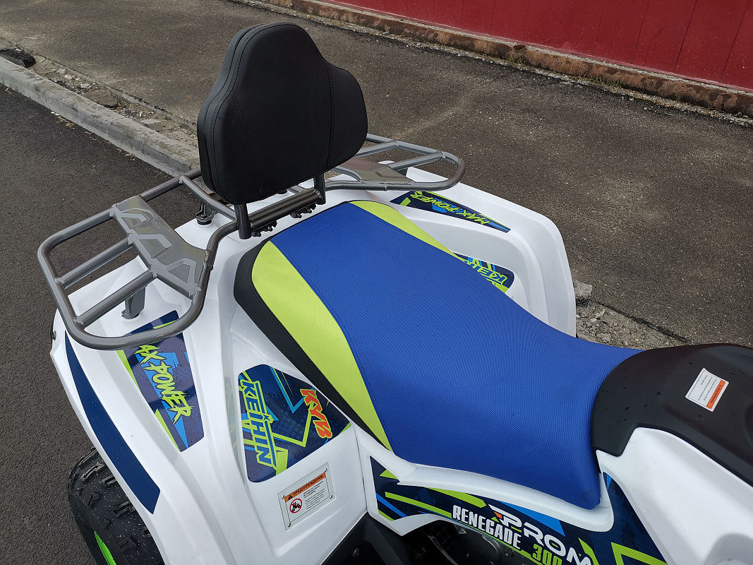 Квадроцикл PROMAX RENEGADE 280 LUX (2025) в Хасавюрте
