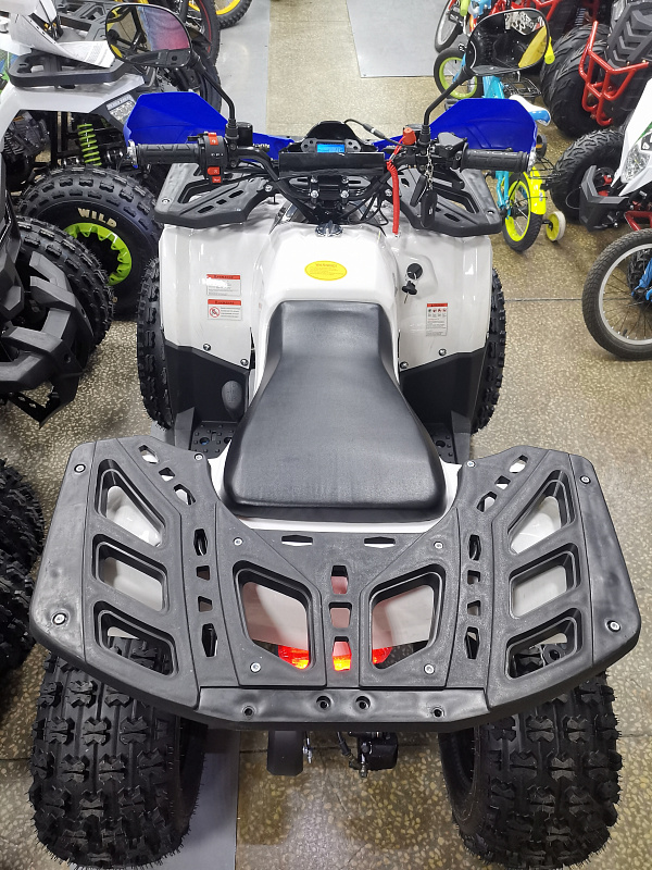 Квадроцикл PROMAX WILD 175 LUX в Хасавюрте