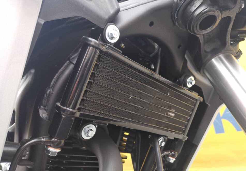 Мотоцикл MOTOLAND (МОТОЛЕНД) 250 CB250 (172FMM-5/PR250) (2022 г.) в Хасавюрте