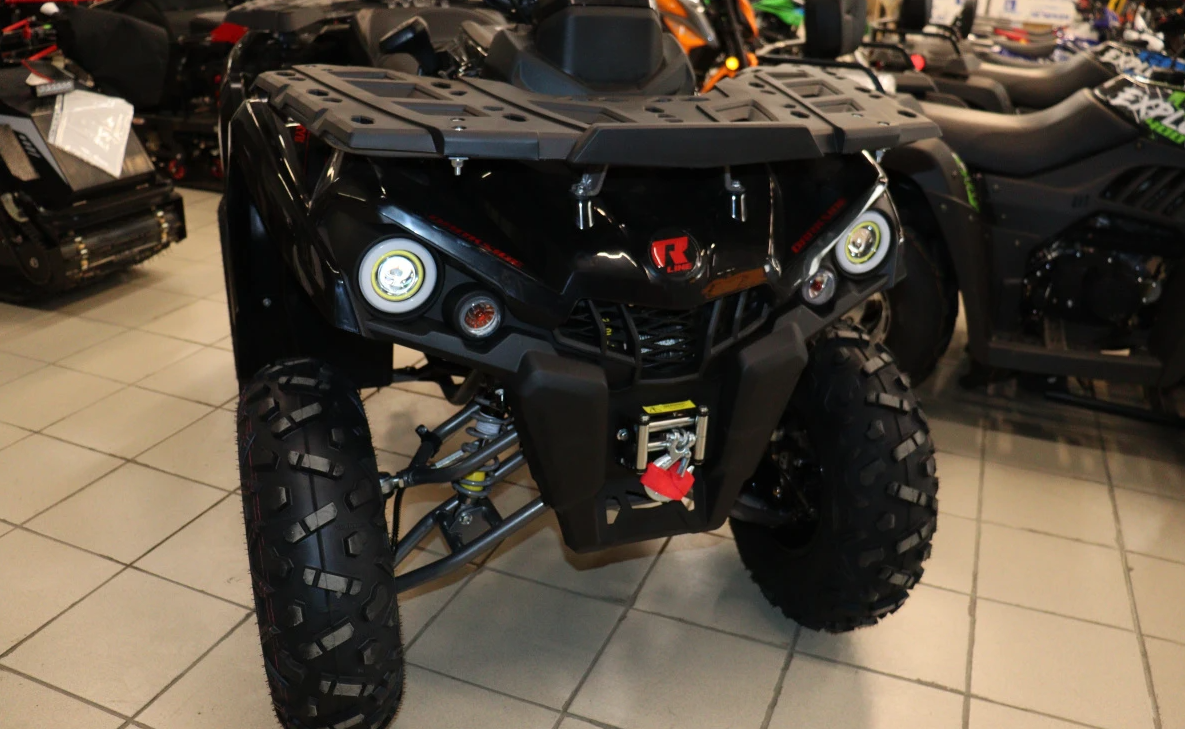 Квадроцикл PROMAX RENEGADE 300 LONG WINCH PRO (2025) в Хасавюрте