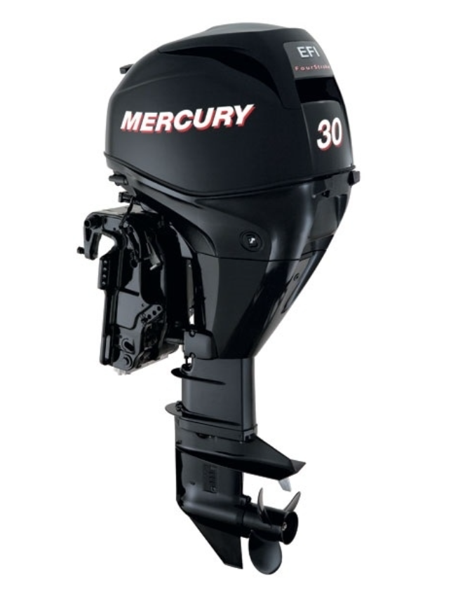 ЛОДОЧНЫЙ МОТОР MERCURY  F 30 ELH GA EFI в Хасавюрте