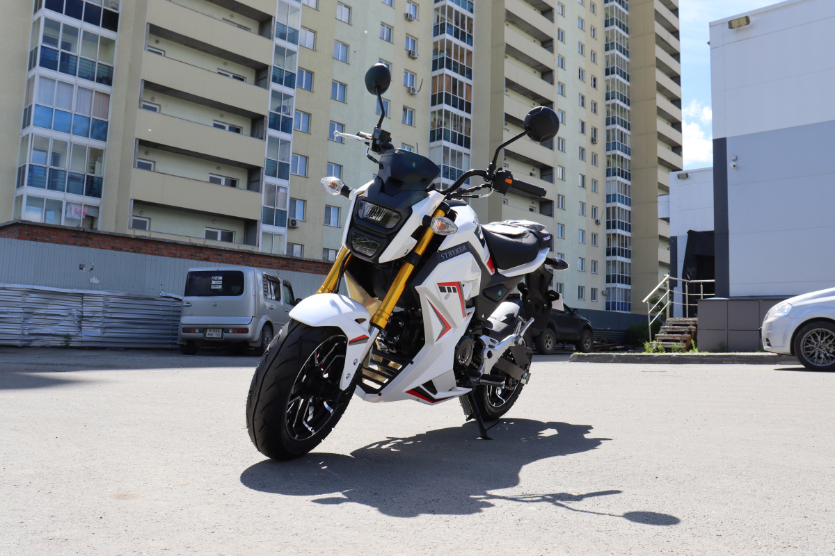 Мотоцикл PROMAX STRYKER 200(49) 2.0 в Хасавюрте