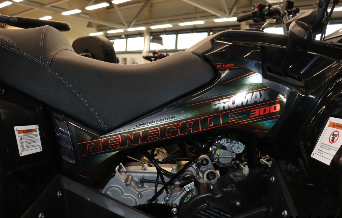 Квадроцикл PROMAX RENEGADE 300 LONG WINCH PRO (2025) в Хасавюрте