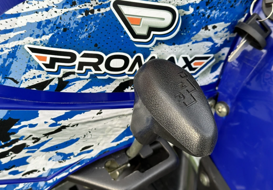  Квадроцикл PROMAX ATV 250 MAX (2025) в Хасавюрте