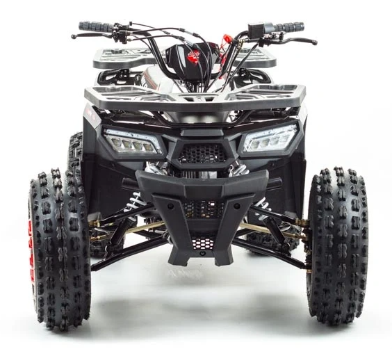 Квадроцикл PROMAX WILD 175 в Хасавюрте