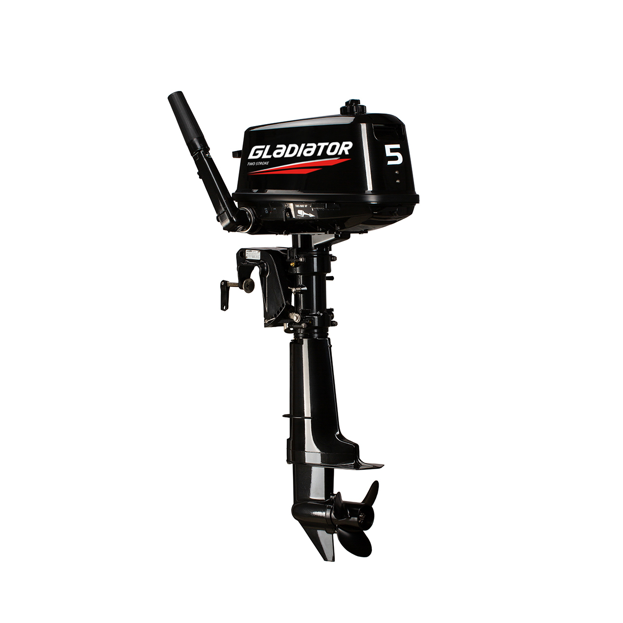 ЛОДОЧНЫЙ МОТОР GLADIATOR G5FHS в Хасавюрте