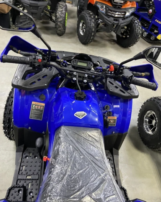 Квадроцикл PROMAX WILD 2.0 190 PRO (2025) в Хасавюрте