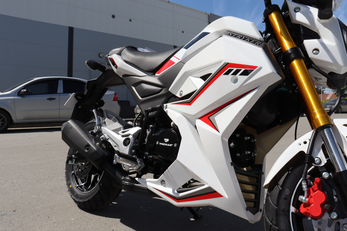 Мотоцикл PROMAX STRYKER 200(49) 2.0 в Хасавюрте