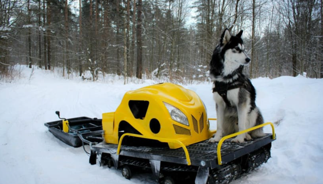 Мотобуксировщик LEBEDEV MOTORS ВОЛКОДАВ POWER V13 в Хасавюрте
