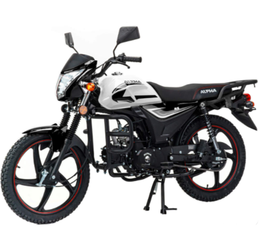 Мопед MOTOLAND (МОТОЛЕНД) Альфа RS 11 (LM48-B) в Хасавюрте