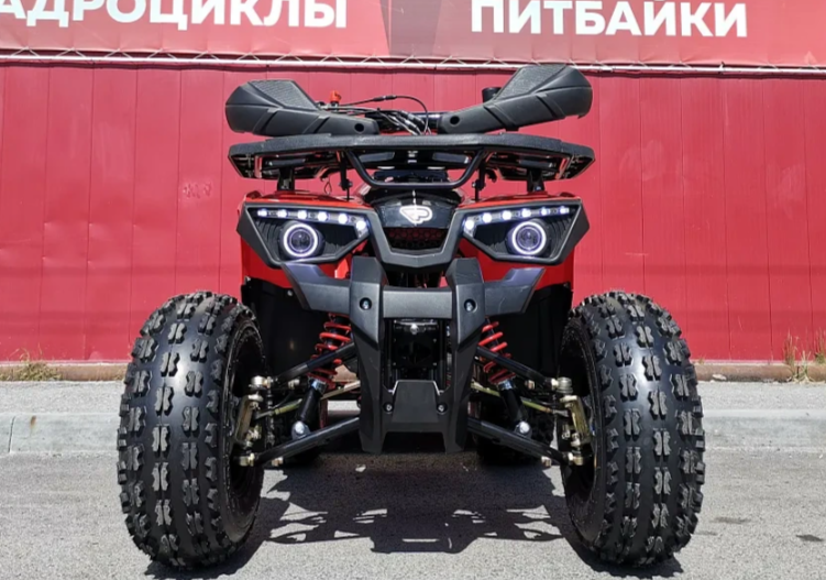 Квадроцикл PROMAX WILD 175 BASIC в Хасавюрте