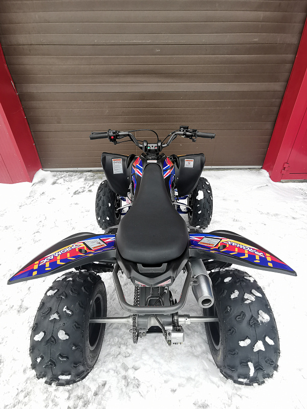 Квадроцикл PROMAX RAPTOR 300 NEW RedBull в Хасавюрте
