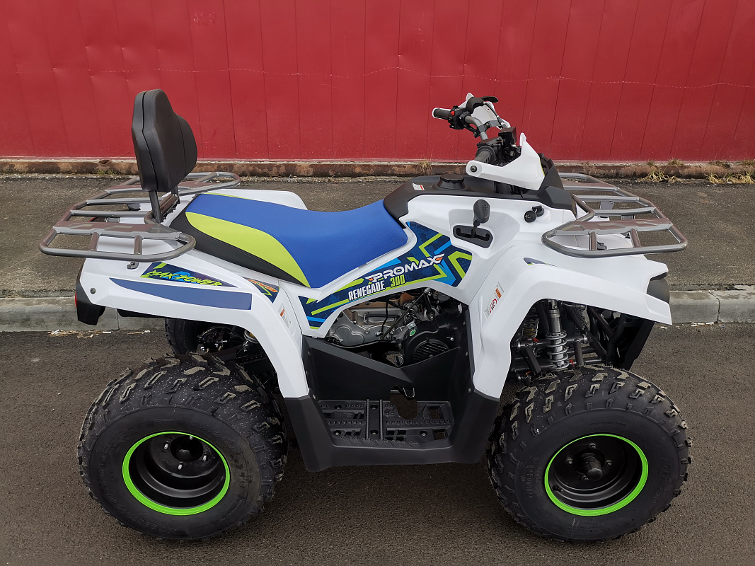 Квадроцикл PROMAX RENEGADE 280 LUX (2025) в Хасавюрте