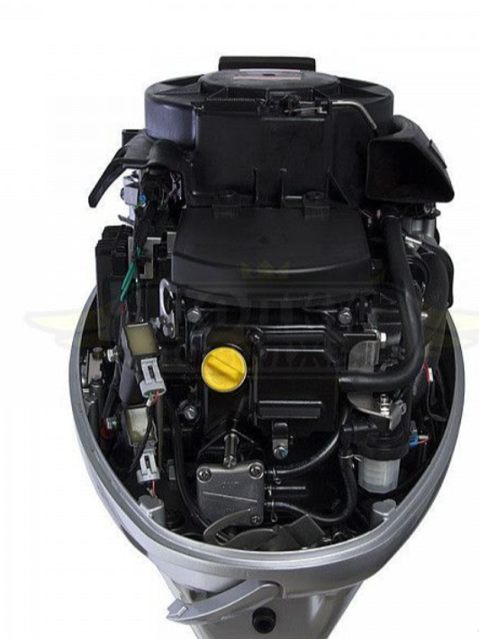 Лодочный мотор SEANOVO SNEF30FEL-EFI в Хасавюрте