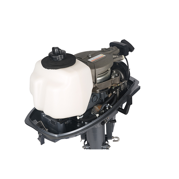 ЛОДОЧНЫЙ МОТОР ALLFA CG T5 в Хасавюрте