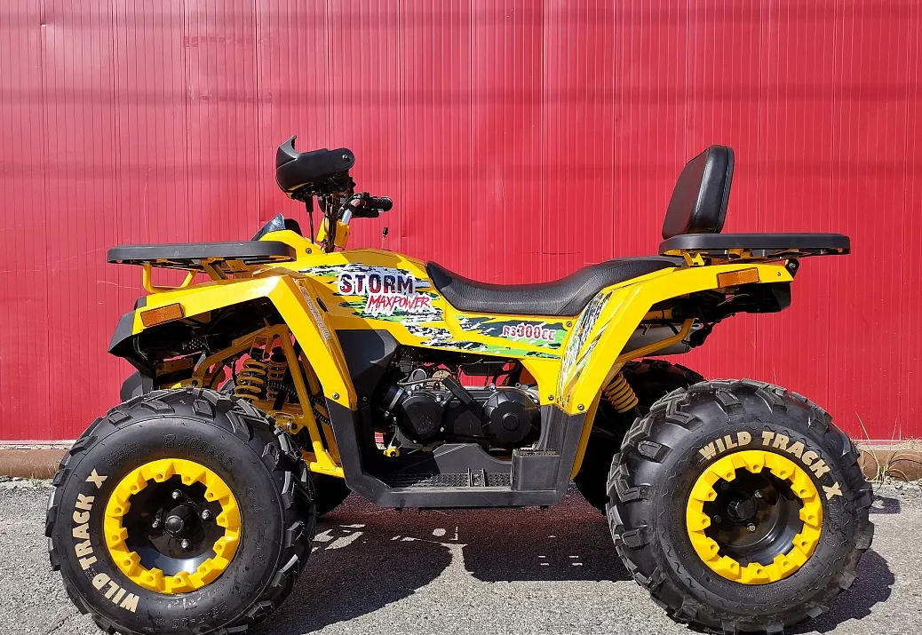 Квадроцикл PROMAX STORM 280 LUX в Хасавюрте