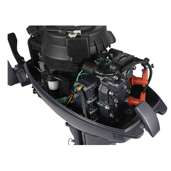 ЛОДОЧНЫЙ МОТОР ALLFA CG Т9,9 в Хасавюрте