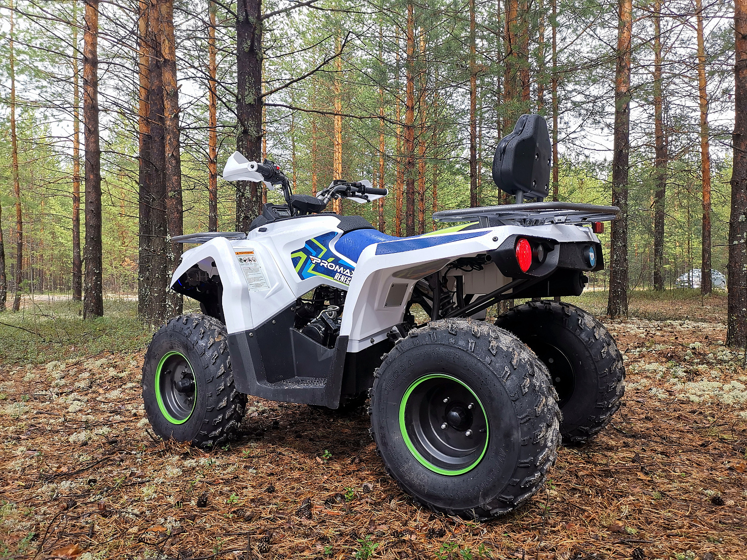 Квадроцикл PROMAX RENEGADE 280 (2025) в Хасавюрте