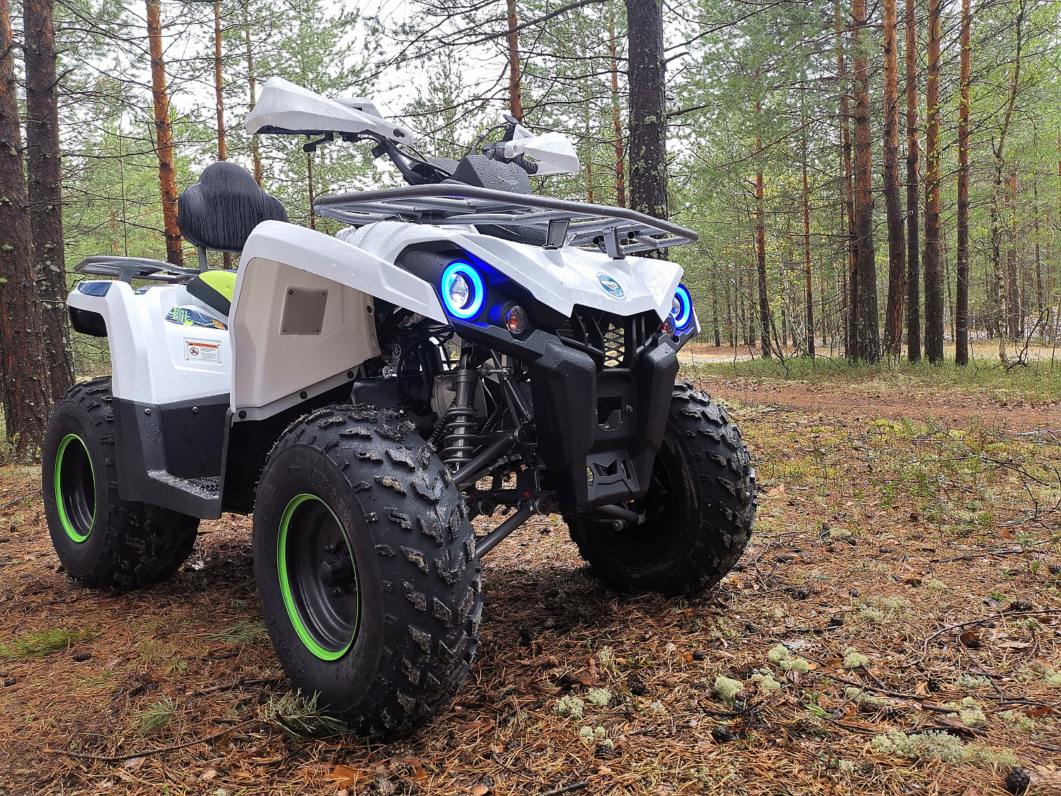 Квадроцикл PROMAX RENEGADE 280 (2025) в Хасавюрте