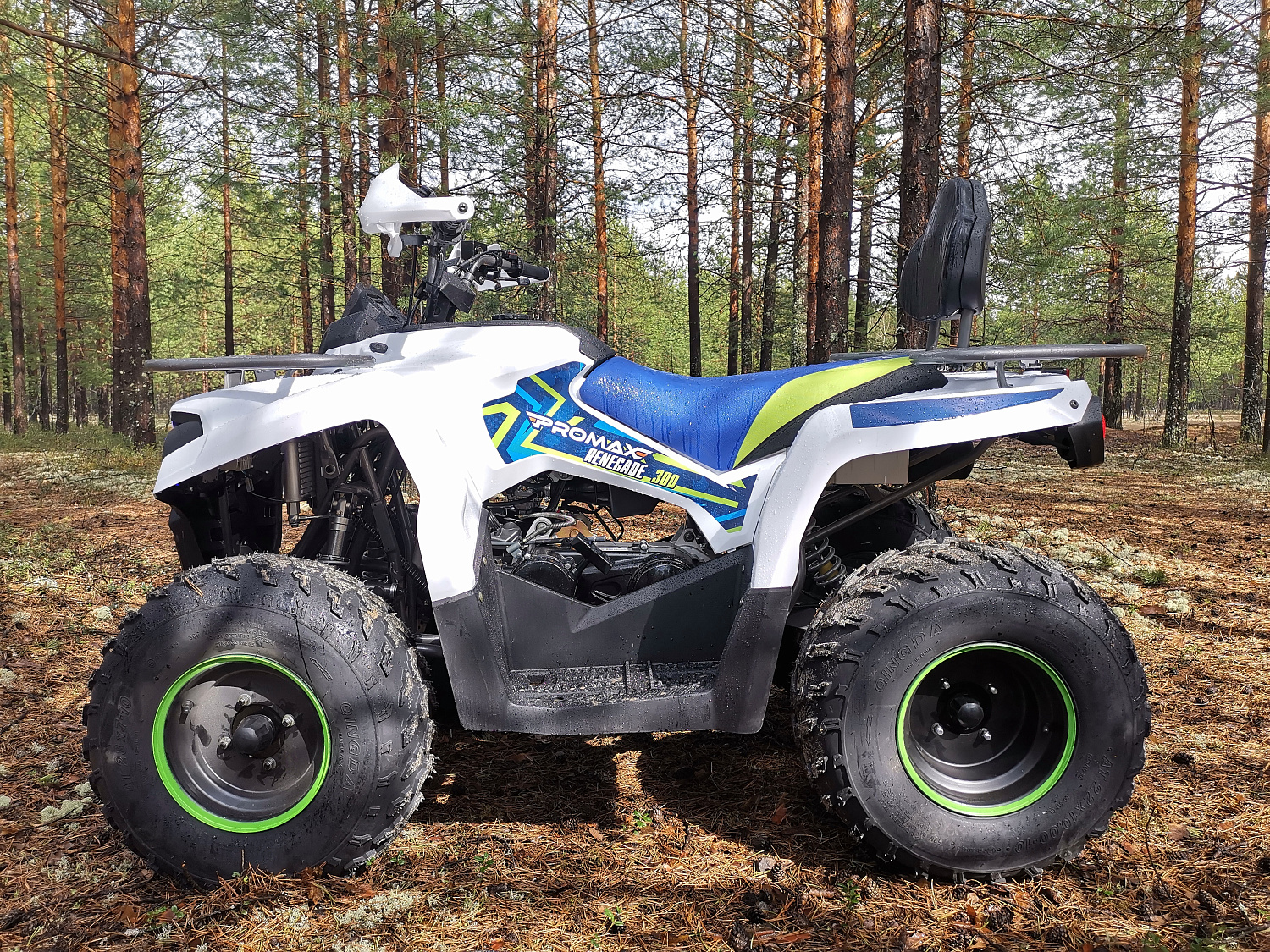 Квадроцикл PROMAX RENEGADE 280 (2025) в Хасавюрте