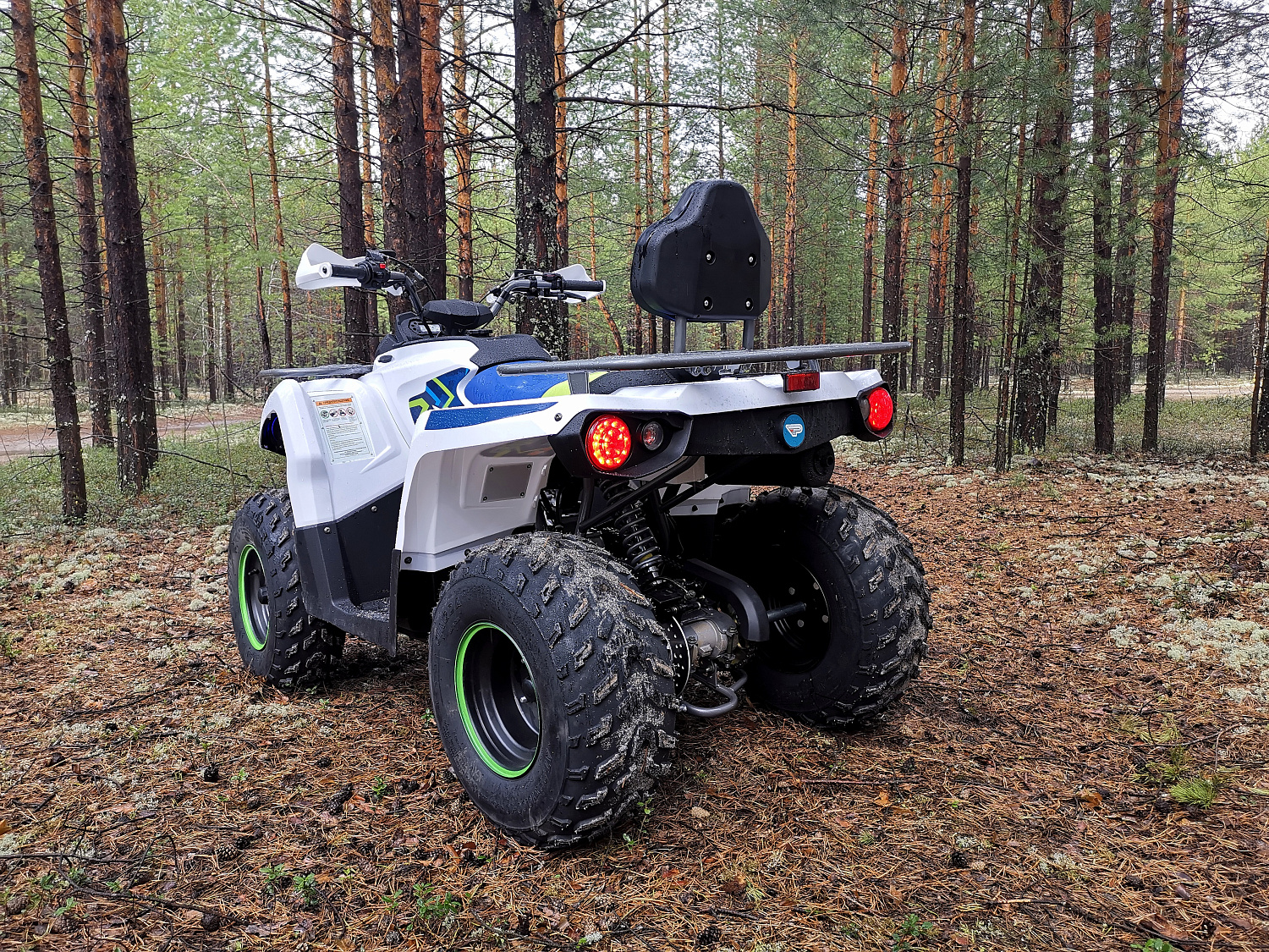 Квадроцикл PROMAX RENEGADE 280 (2025) в Хасавюрте