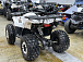 Квадроцикл PROMAX WILD 2.0 190 LUX в Хасавюрте