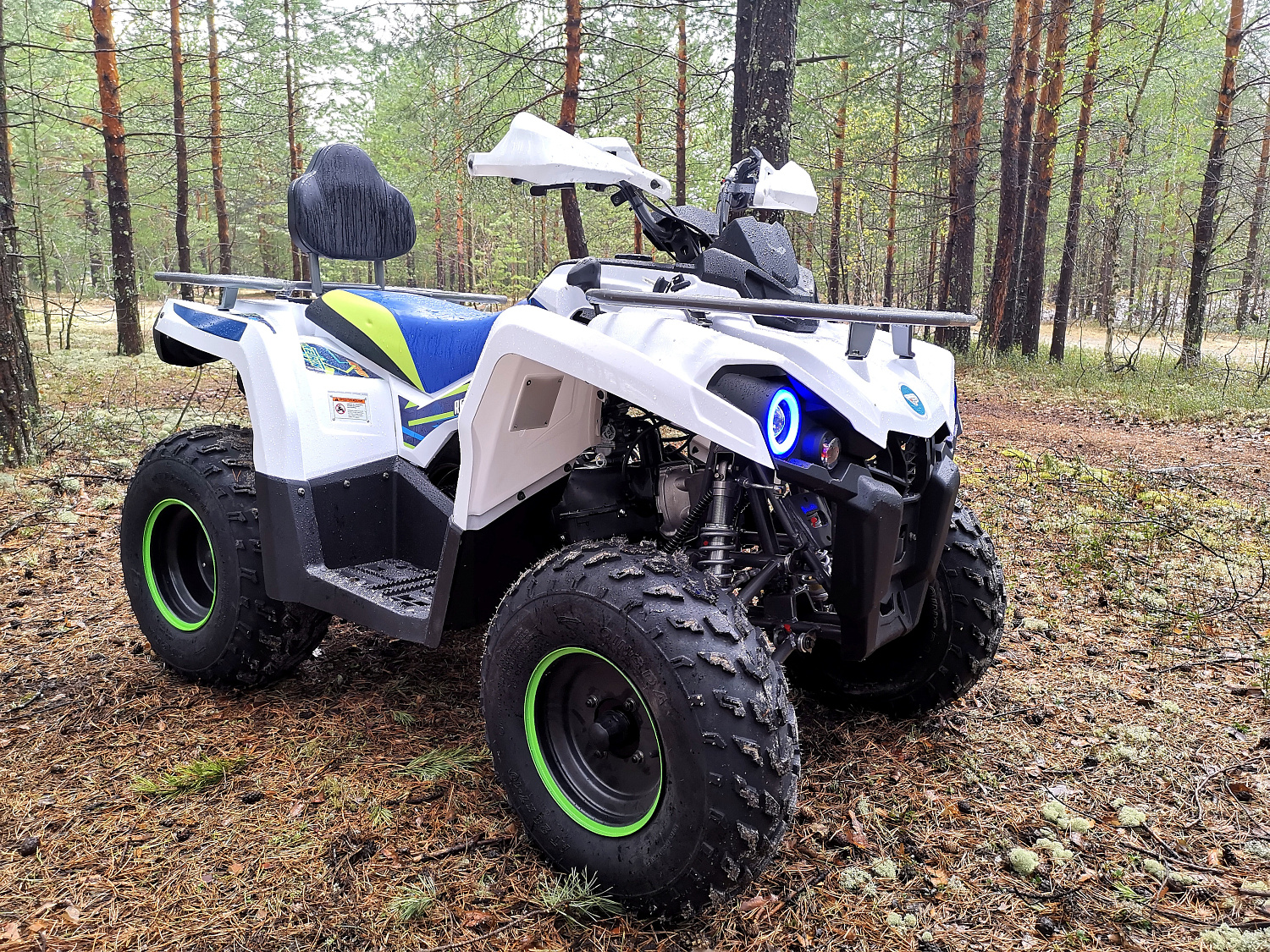 Квадроцикл PROMAX RENEGADE 280 (2025) в Хасавюрте