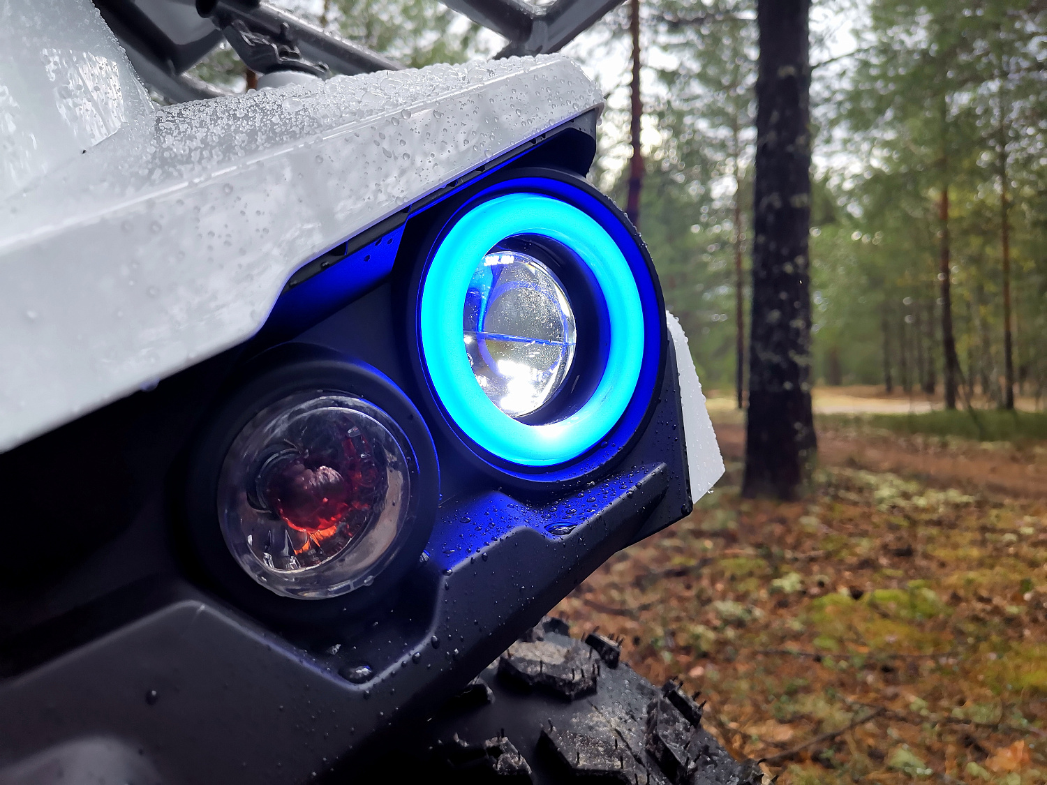 Квадроцикл PROMAX RENEGADE 280 (2025) в Хасавюрте