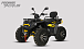 Квадроцикл PROMAX TAURUS 300 MAX-PRO LONG в Хасавюрте
